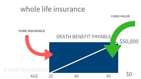 most affordable whole life insurance policies